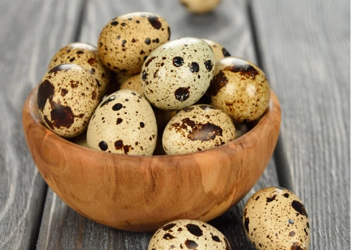 Mỗi ngày bạn có thể ăn bao nhiêu quả trứng cút?