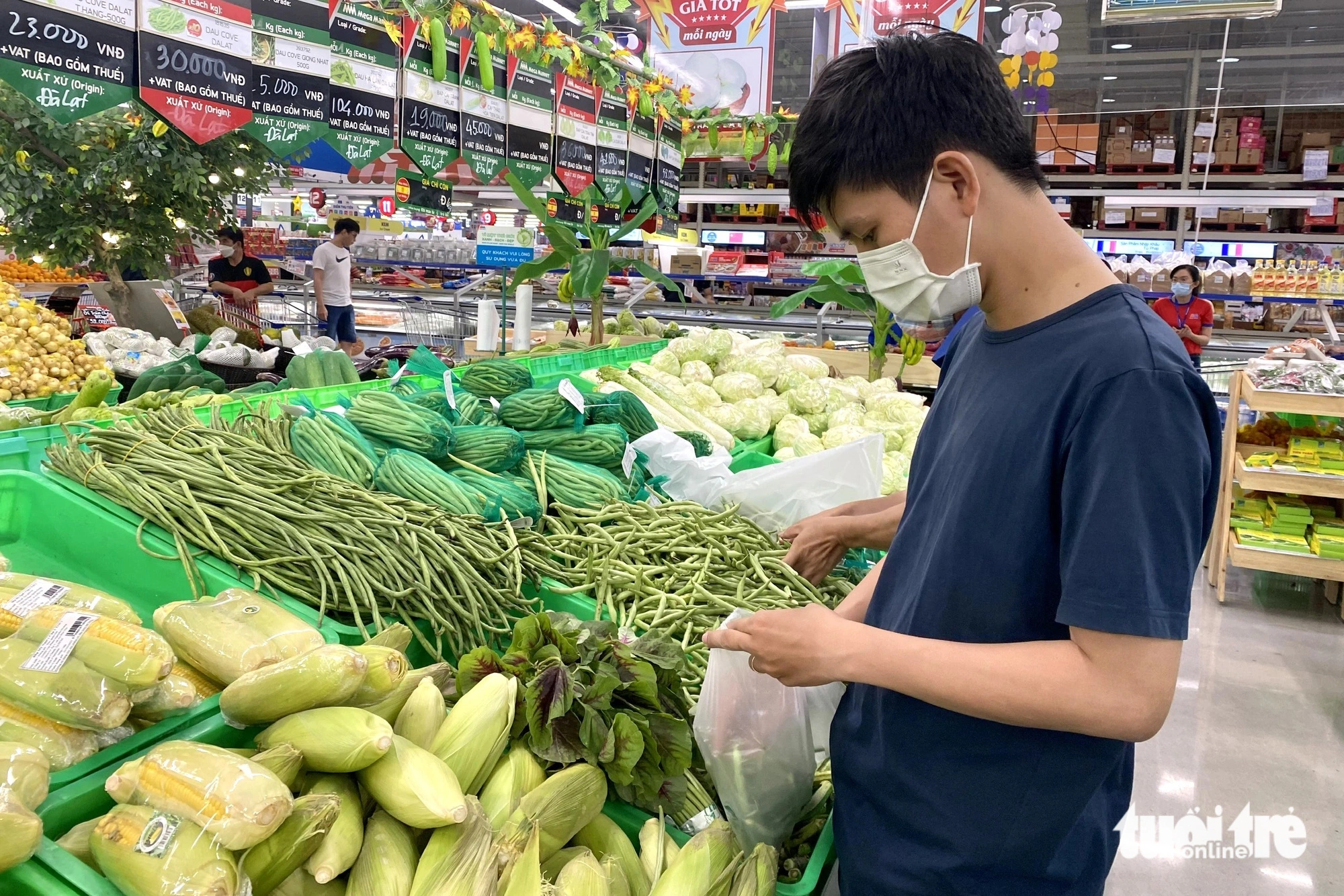 Ăn rau củ gì để chống bệnh gan nhiễm mỡ?
